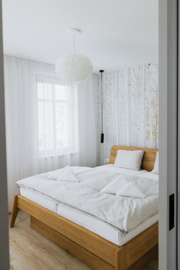 Apartmán U Zlate Brizy Krusne Hory - Erzgebirge Horní Blatná Exteriér fotografie