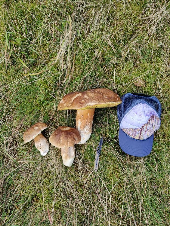 Apartmán U Zlate Brizy Krusne Hory - Erzgebirge Horní Blatná Exteriér fotografie