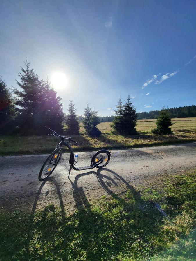 Apartmán U Zlate Brizy Krusne Hory - Erzgebirge Horní Blatná Exteriér fotografie