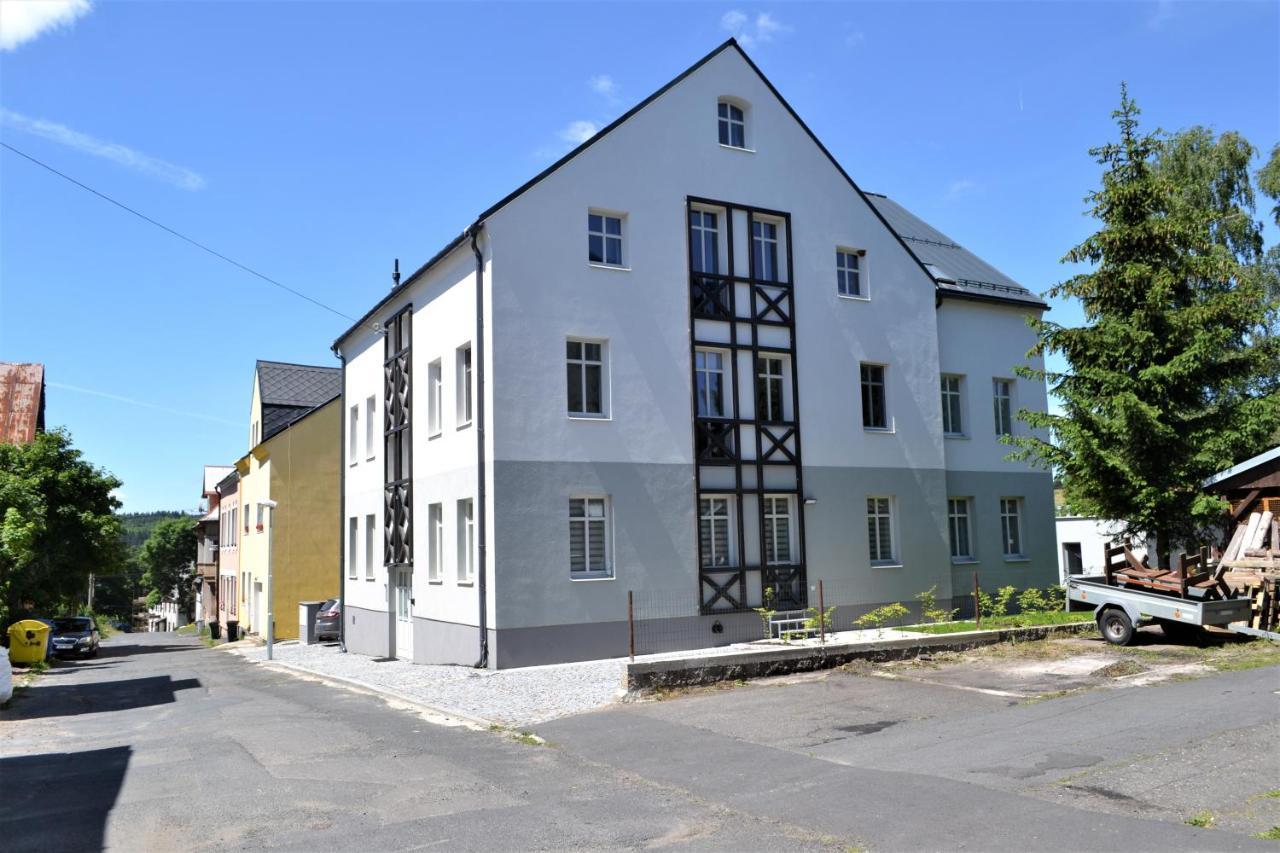 Apartmán U Zlate Brizy Krusne Hory - Erzgebirge Horní Blatná Exteriér fotografie